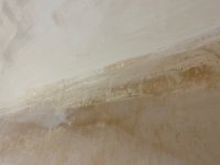 Plastered Ceiling - Good Finish?