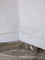 Damp coming in from exterior wall?