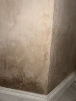 How long does plaster dry up?