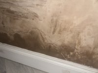 How long does plaster dry up?
