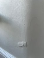 Issue with paint on plaster - HELP needed please!