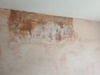 Damp upstairs wall