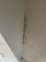 Help - Damp patches in plastering on loft conversion roof - 2nd opinion