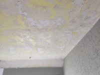 Removed polystyrene ceiling tiles and ceiling not great