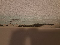 Repairing scratch plaster?