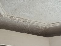 Heavy efflorescence on coving - can it be repaired ?