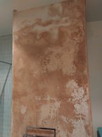 Help - damp plaster - don't know what to do