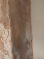 Help - damp plaster - don't know what to do