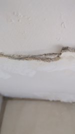 Hello - what is this material coming out of my ceiling