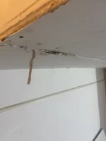 What to do - scraps of plasterboard