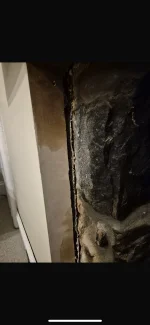 Stains showing up after insulating a wall